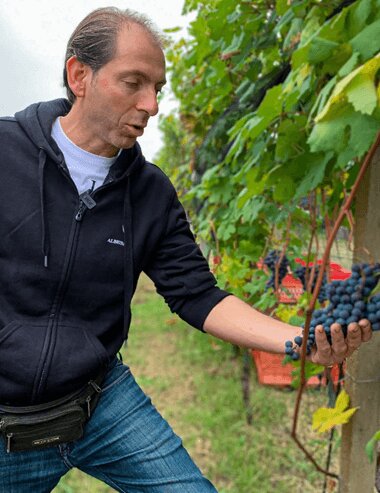 Elio Filippino_OceněnáVína_CZ